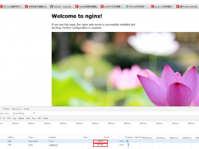 nginx安装以及平滑添加模块开启pagespeed加速效果